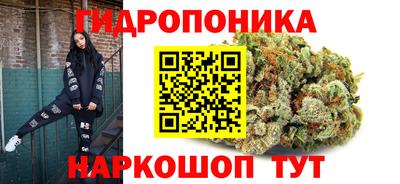 Альфа ПВП Будённовск