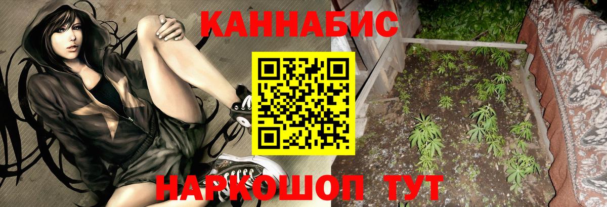 МАРИХУАНА ГИДРОПОН  Бошки марихуана SATIVA & INDICA  Уфа  Марихуана сатива  Вход с VPN 